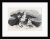 Serk, the Coupee Rock. by Anonymous