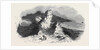Serk, the Coupee Rock. by Anonymous