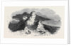 Serk, the Coupee Rock. by Anonymous