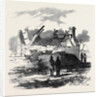 Cabin of Pat. Macnamara, Village of Clear by Anonymous