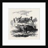 Cabin of Pat. Macnamara, Village of Clear by Anonymous