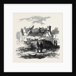 Cabin of Pat. Macnamara, Village of Clear by Anonymous