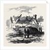 Cabin of Pat. Macnamara, Village of Clear by Anonymous