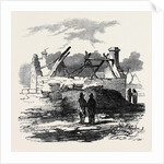 Cabin of Pat. Macnamara, Village of Clear by Anonymous