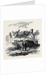 Cabin of Pat. Macnamara, Village of Clear by Anonymous