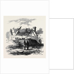 Cabin of Pat. Macnamara, Village of Clear by Anonymous