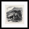 Keilines, Near General Thompson's Property by Anonymous