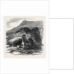 Keilines, Near General Thompson's Property by Anonymous