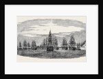 The Turkish Fleet in Bashika Bay by Anonymous