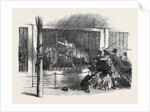 Death of the Lion Queen, in Wombwell's Menagerie, at Chatham by Anonymous