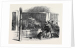 Death of the Lion Queen, in Wombwell's Menagerie, at Chatham by Anonymous