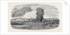 Destruction of Shap-'Ng-Tsai's Piratical Fleet, by the British, in the Gulf of Tonquin by Anonymous