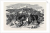 Darjeeling, or the Bright Spot by Anonymous