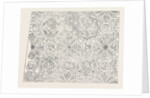 Elizabethan Ceiling at the Red Lion Inn, Barnstaple by Anonymous