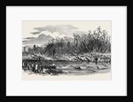 Scene of the Explosion of the Hounslow Powder Mills by Anonymous