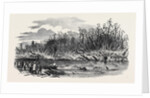 Scene of the Explosion of the Hounslow Powder Mills by Anonymous