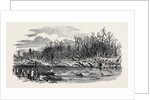 Scene of the Explosion of the Hounslow Powder Mills by Anonymous