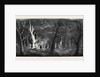 Panorama of the Ohio, Clearing a Forest by Anonymous