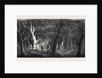 Panorama of the Ohio, Clearing a Forest by Anonymous