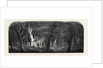Panorama of the Ohio, Clearing a Forest by Anonymous