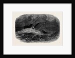 The Royal Adelaide, Steamship, on Her Passage from Cork to London by Anonymous