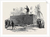 Large Log of Honduras Mahogany, Sold at Birkenhead by Anonymous