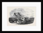 H.M.S. Sappho, on the Main Reef at Honduras by Anonymous