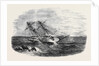H.M.S. Sappho, on the Main Reef at Honduras by Anonymous
