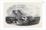 H.M.S. Sappho, on the Main Reef at Honduras by Anonymous