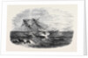 H.M.S. Sappho, on the Main Reef at Honduras by Anonymous