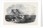 H.M.S. Sappho, on the Main Reef at Honduras by Anonymous