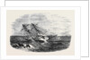 H.M.S. Sappho, on the Main Reef at Honduras by Anonymous