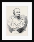 Bust of Mr. Macaulay by Anonymous