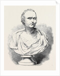 Bust of Mr. Macaulay by Anonymous