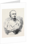 Bust of Mr. Macaulay by Anonymous