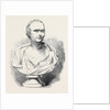 Bust of Mr. Macaulay by Anonymous