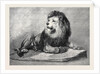 The Old Lion of the Zoological Society's Collection London 1873 by Anonymous