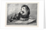 The Old Lion of the Zoological Society's Collection London 1873 by Anonymous