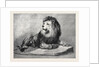 The Old Lion of the Zoological Society's Collection London 1873 by Anonymous