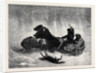 Traineau Russe 1873 by Anonymous