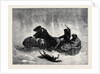 Traineau Russe 1873 by Anonymous