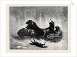 Traineau Russe 1873 by Anonymous