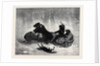 Traineau Russe 1873 by Anonymous