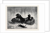 Traineau Russe 1873 by Anonymous