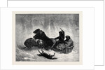 Traineau Russe 1873 by Anonymous