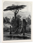 River Gate Botanic Garden Chelsea 1873 by Anonymous