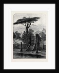 River Gate Botanic Garden Chelsea 1873 by Anonymous