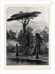 River Gate Botanic Garden Chelsea 1873 by Anonymous