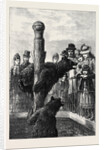 Receiving Visitors on Easter Monday at the Zoological Society's Gardens London 1873 by Anonymous