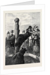 Receiving Visitors on Easter Monday at the Zoological Society's Gardens London 1873 by Anonymous